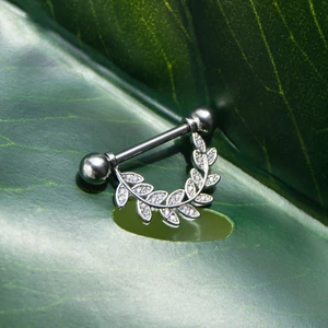 Ezüst Színű Orvosi Acélból Készült Piercing