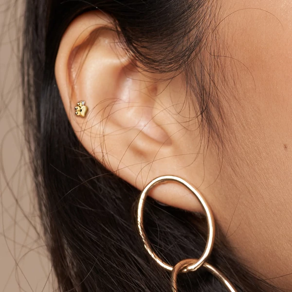 Arany Színű Tappancs Formájú 316L Orvosi Acél Labret Piercing