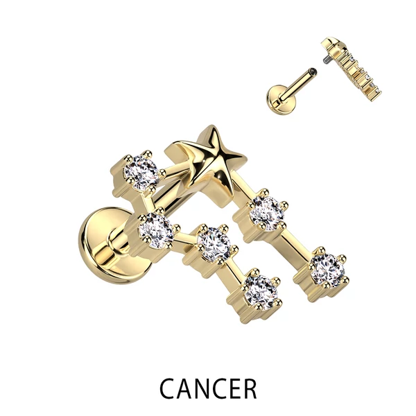 A & ONE Arany Színű 316L Orvosi Acél Labret Piercing Rák Csillagjegy
