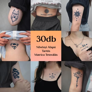 Növényi Alapú Tartós Matrica Tetoválás Készlet 30 db Mintával 