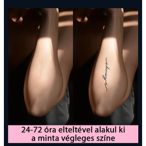 Növényi Alapú Tartós Matrica Tetoválás Készlet 30 db Mintával 
