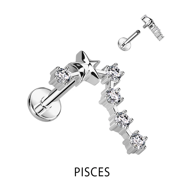 A & ONE Ezüst Színű 316L Orvosi Acél Labret Piercing Halak Csillagjegy